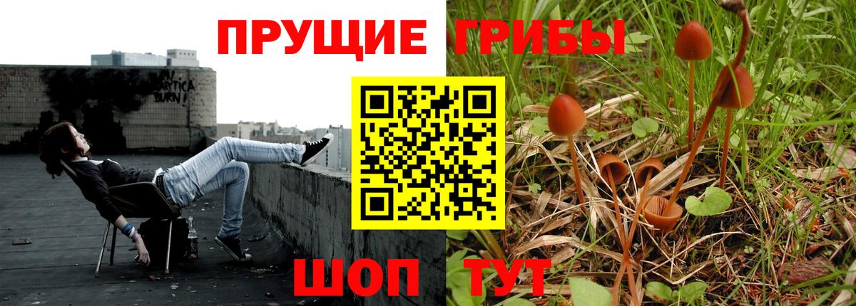 Псилоцибиновые грибы Magic Shrooms Калининград