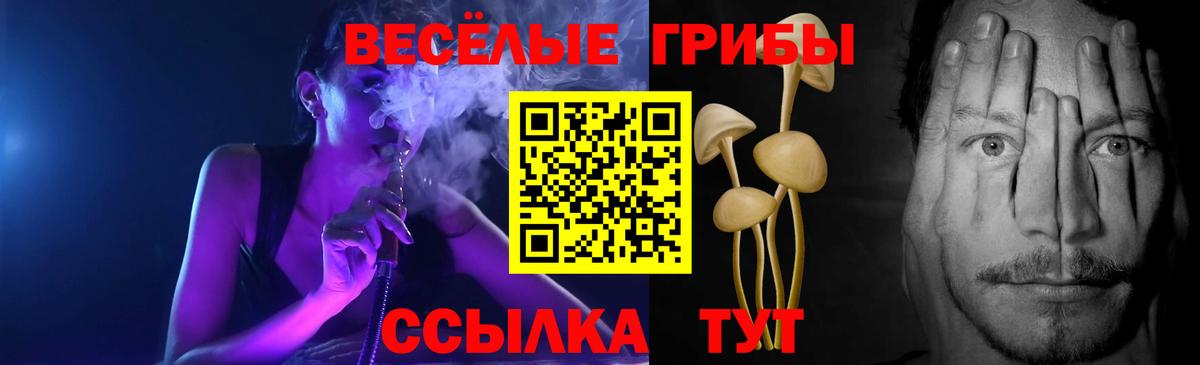 Галлюциногенные грибы мухоморы  Вход с VPN  где продают   Калининград 